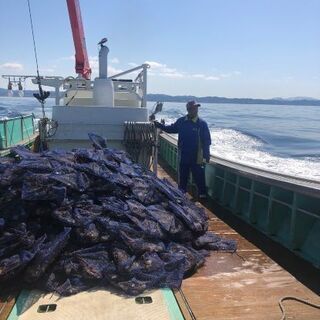 ホタテ養殖船乗務員の画像