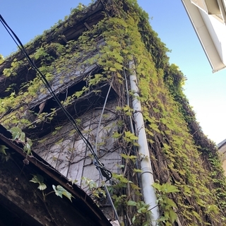 【DIY自由に可能！】激安_賃貸戸建て 2.8万円（練馬区大泉学園）の画像