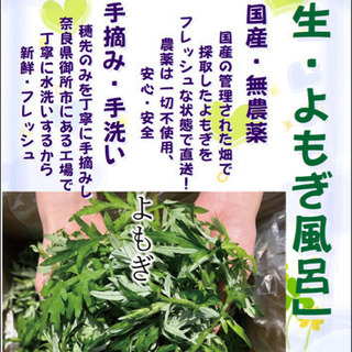 【寿湯】生・よもぎ風呂7/12(日)の画像