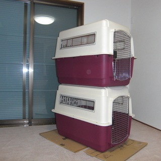 Petmate大型犬用バリケン