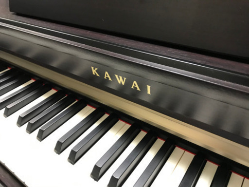 Cカワイ CN25R