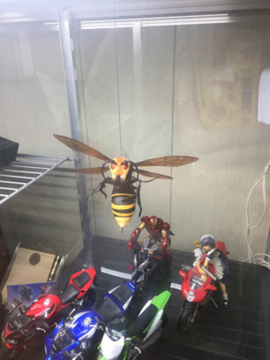 フィギュア用ガラス棚