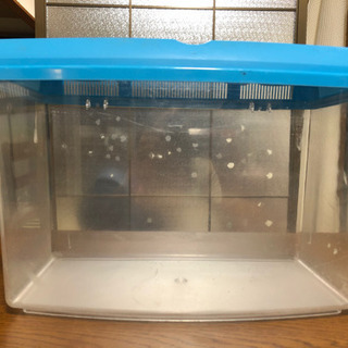 33センチ水槽　中古品の画像