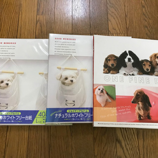 【受渡決定済】アルバム③