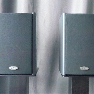 TEAC S-300Pro