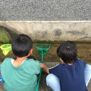週末家庭保育　奈良県社会福祉協議会助成事業 - 高市郡
