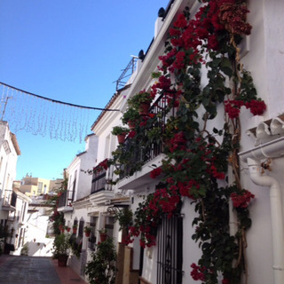 スペイン系フランス人とスペイン語会話の練習の画像