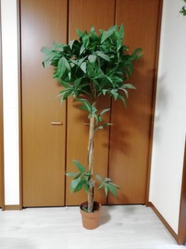 人工観葉植物