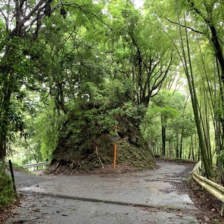ジムニーでゆる～く芝川から金丸山