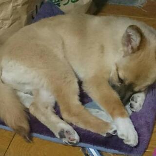 関東のお友達集まれ − 茨城県