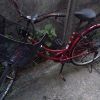 レッド自転車
