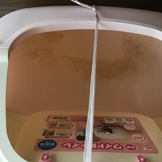 猫 トイレ　の画像