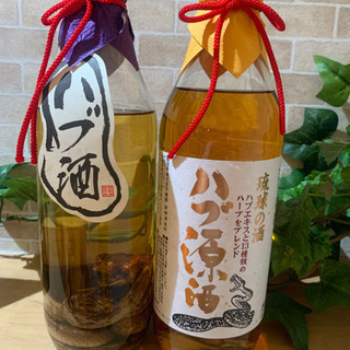 ハブ酒の中古が安い!激安で譲ります・無料であげます|ジモティー ハブ酒の中古が安い!激安で譲ります・無料であげます|ジモティー