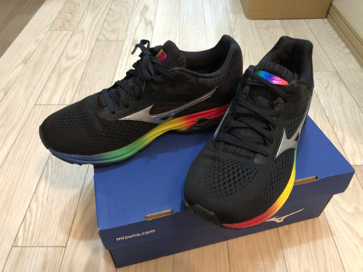 ☆値下げしました☆MIZUNO ウェーブライダー23