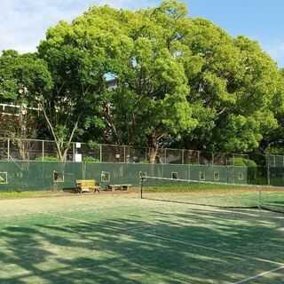 3/17(水)昼間硬式テニス🎾
