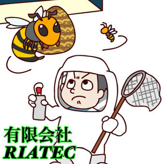 蜂の巣駆除！プロにお任せ！