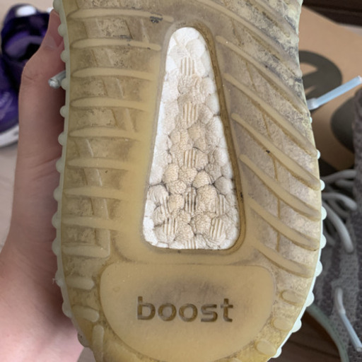Yeezy Boost 350 v2