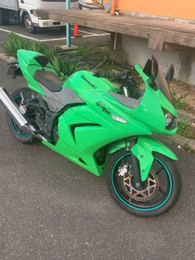 早期引取限定　値下げ