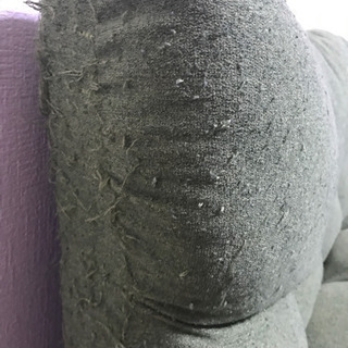 ニトリ　ソファ　ローソファの画像