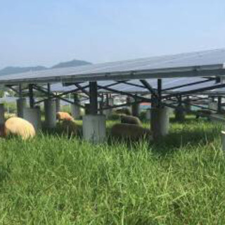 空き家・空き地の草刈りならお任せください❗️