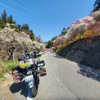 北海道ツーリング - その他