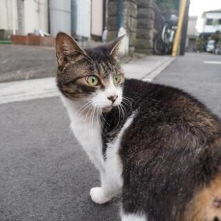 新規グルチャメンバー募集✨ - 中央区