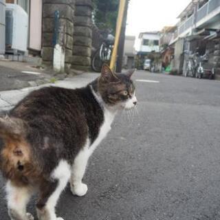 新規グルチャメンバー募集✨ − 東京都