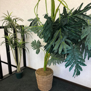 造花です😊‼️