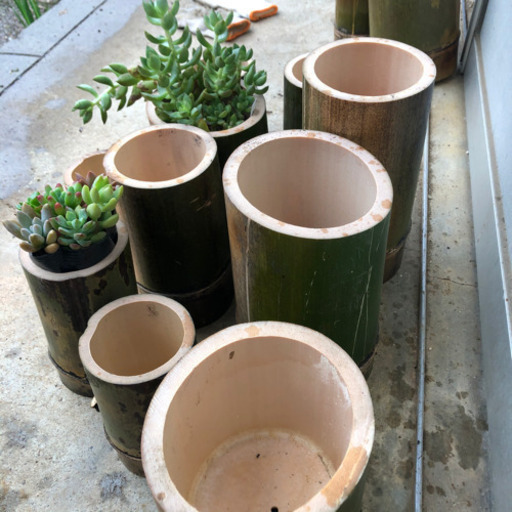 竹　植木鉢　ポット　50個セット（一個200円）