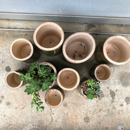 竹　植木鉢　ポット　50個セット（一個200円）
