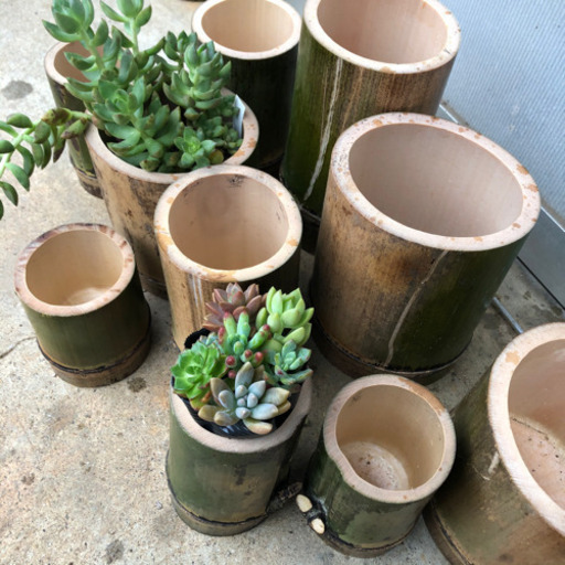 竹　植木鉢　ポット　50個セット（一個200円）