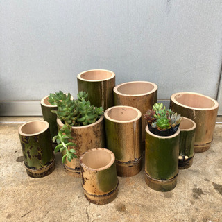 竹　植木鉢　ポット　50個セット（一個200円）