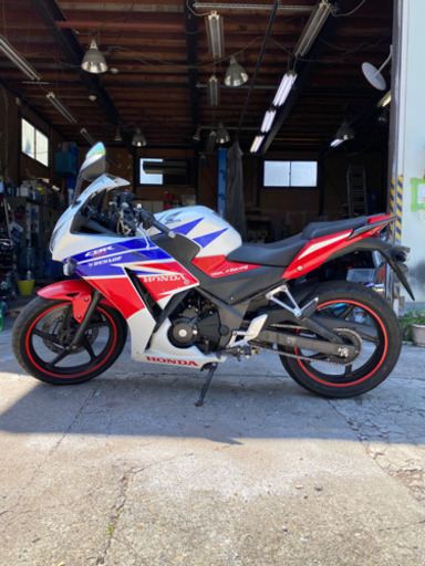 CBR250R ニ眼