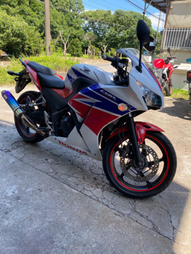 CBR250R ニ眼