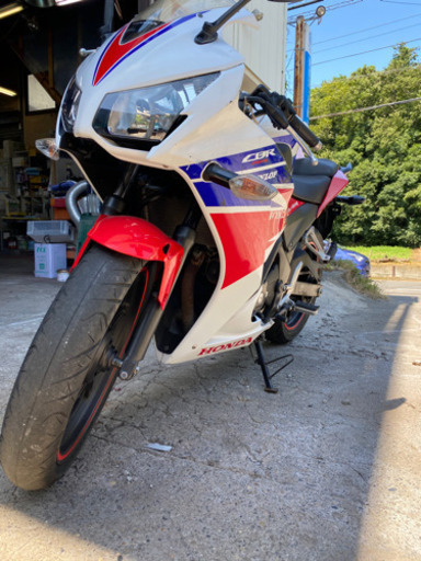 CBR250R ニ眼