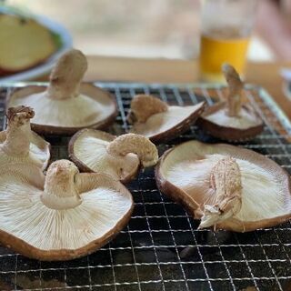 ※5日ケーブル🚠とリフトでBBQ＆足湯♨️