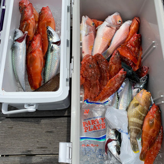 オフショア　釣り仲間募集‼️ − 三重県