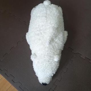 白熊ぬいぐるみ