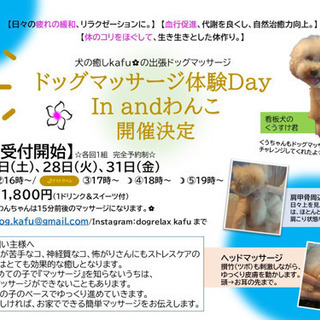 【満席のため受付終了🙇‍♀️】ドッグマッサージ体験会in Osaka