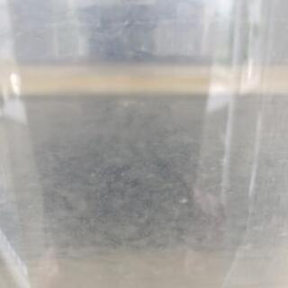 ゾウリムシ　餌