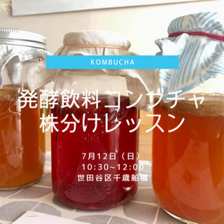 7/12発酵飲料コンブチャ株分けレッスン