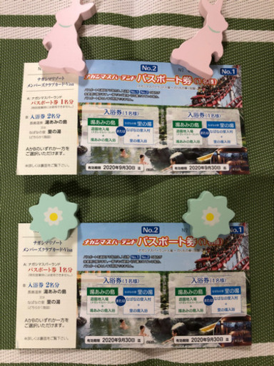 【お取引中】ナガシマスパーランドパスポート券×2枚