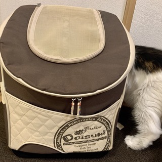 【中古美品】Daisuki 犬猫用キャリーリュック（バッグ）