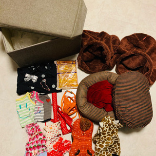 犬 服 リード ベッド アウター スツール 18点 3万円分 小型犬 チワワの画像