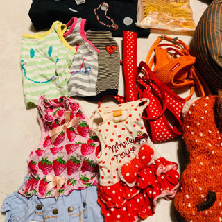 犬 服 リード ベッド アウター スツール 18点 3万円分 小型犬 チワワの画像