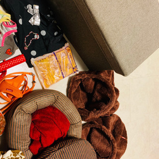 犬 服 リード ベッド アウター スツール 18点 3万円分 小型犬 チワワの画像