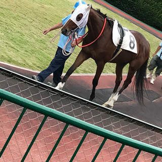 競馬仲間を作りたい