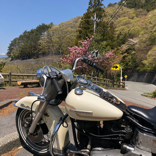ハーレー乗り募集！