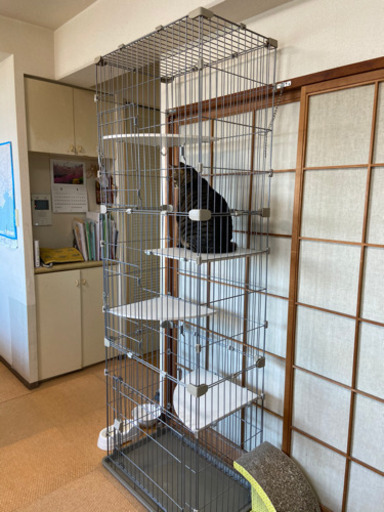猫用ゲージ