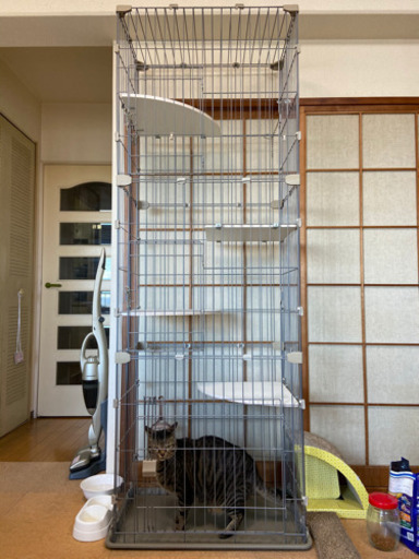 猫用ゲージ